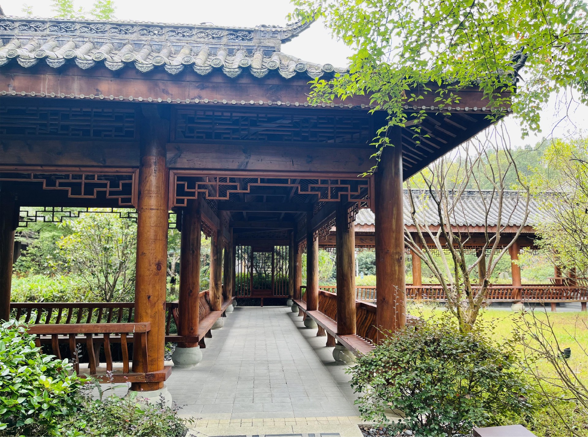 1697091556197601.jpg 长廊.jpg