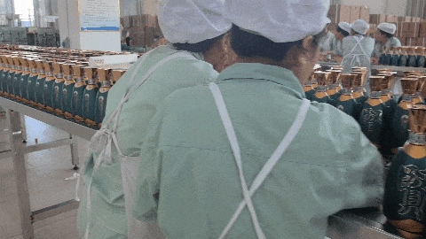 1720521279155406.gif 流水线GIF.gif