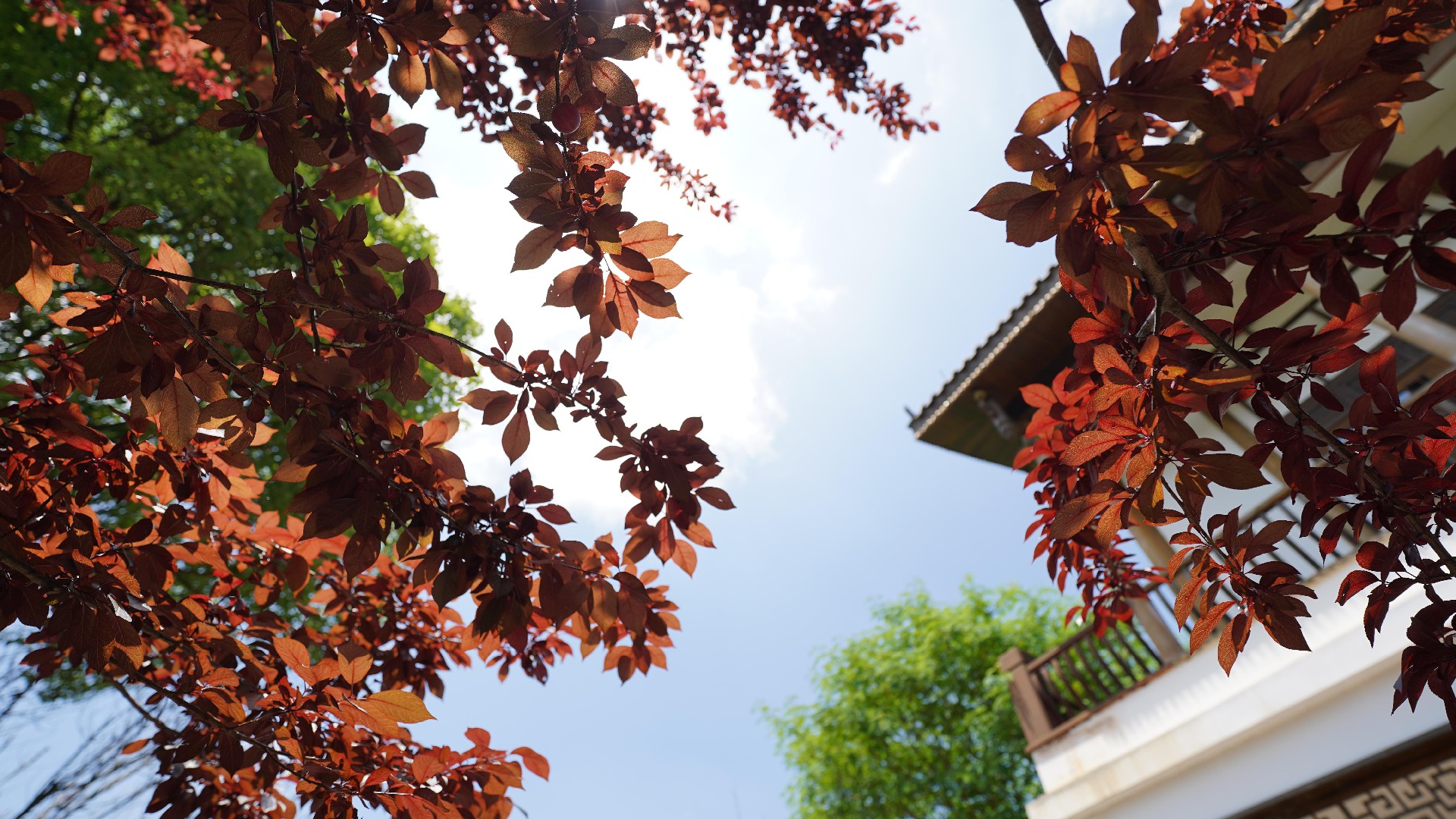 1725265938211343.jpg 3.JPG