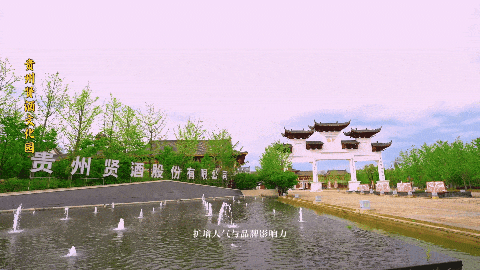 1731748228132700.gif 酒庄内部.gif